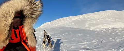 Thomas Wærner med hundespann. 